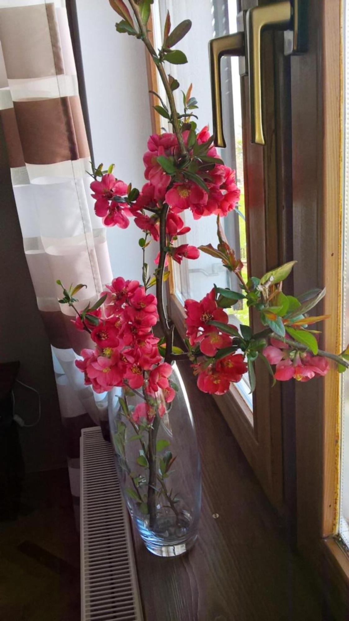 Apartment Tomy Slunj Zewnętrze zdjęcie