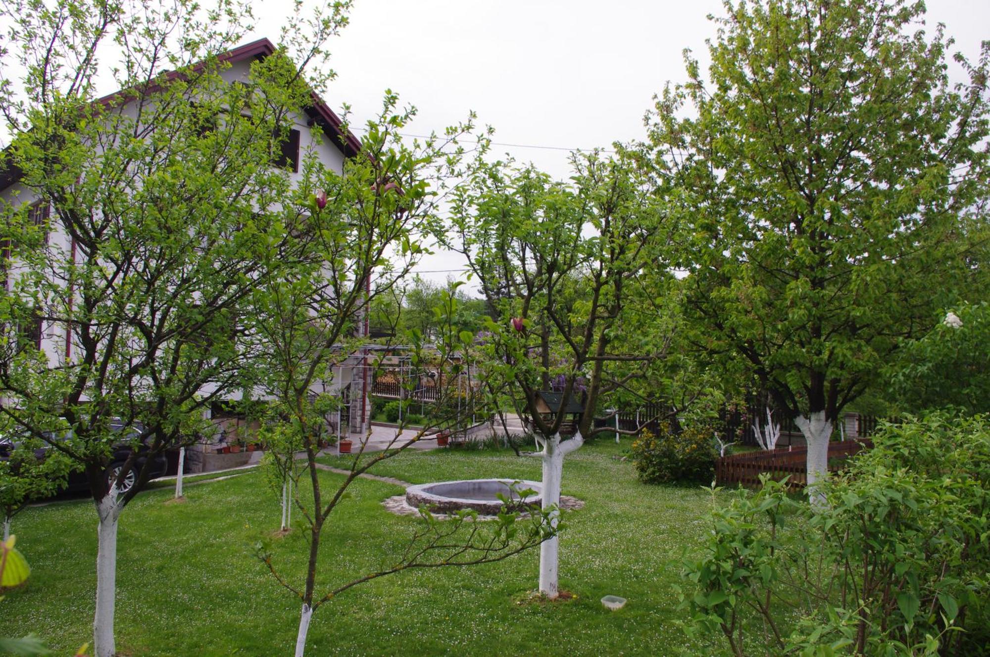 Apartment Tomy Slunj Zewnętrze zdjęcie