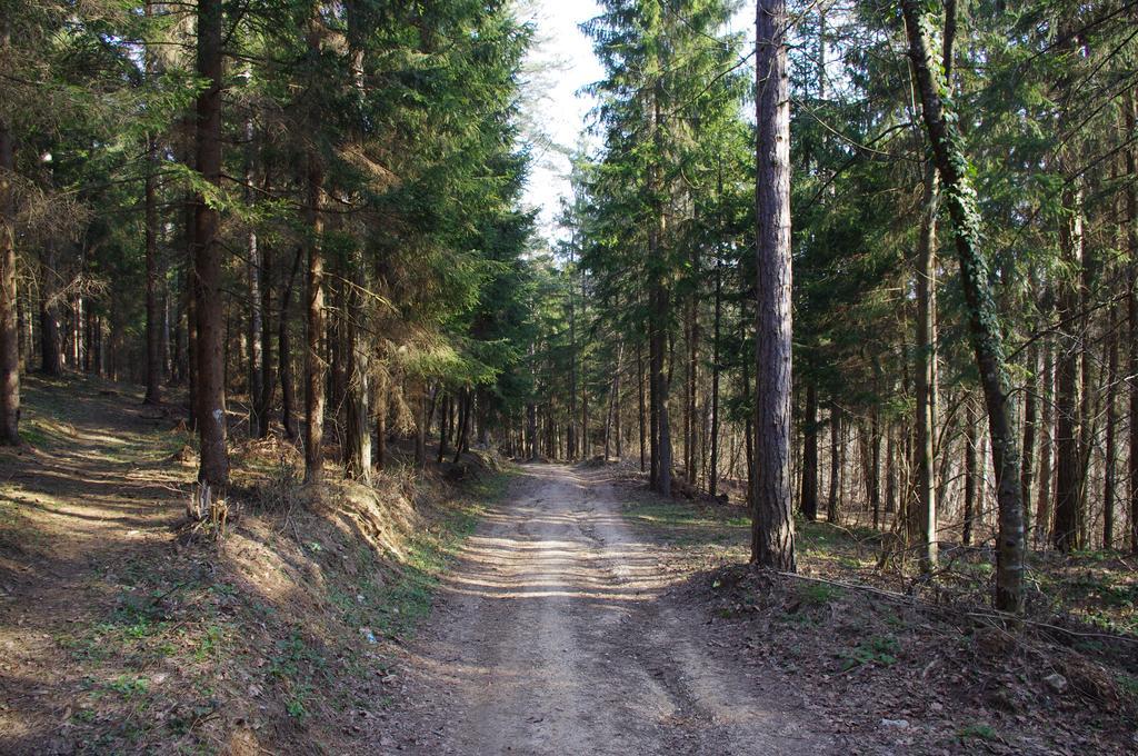 Apartment Tomy Slunj Zewnętrze zdjęcie