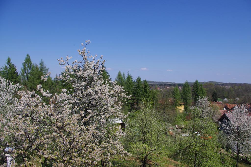 Apartment Tomy Slunj Zewnętrze zdjęcie